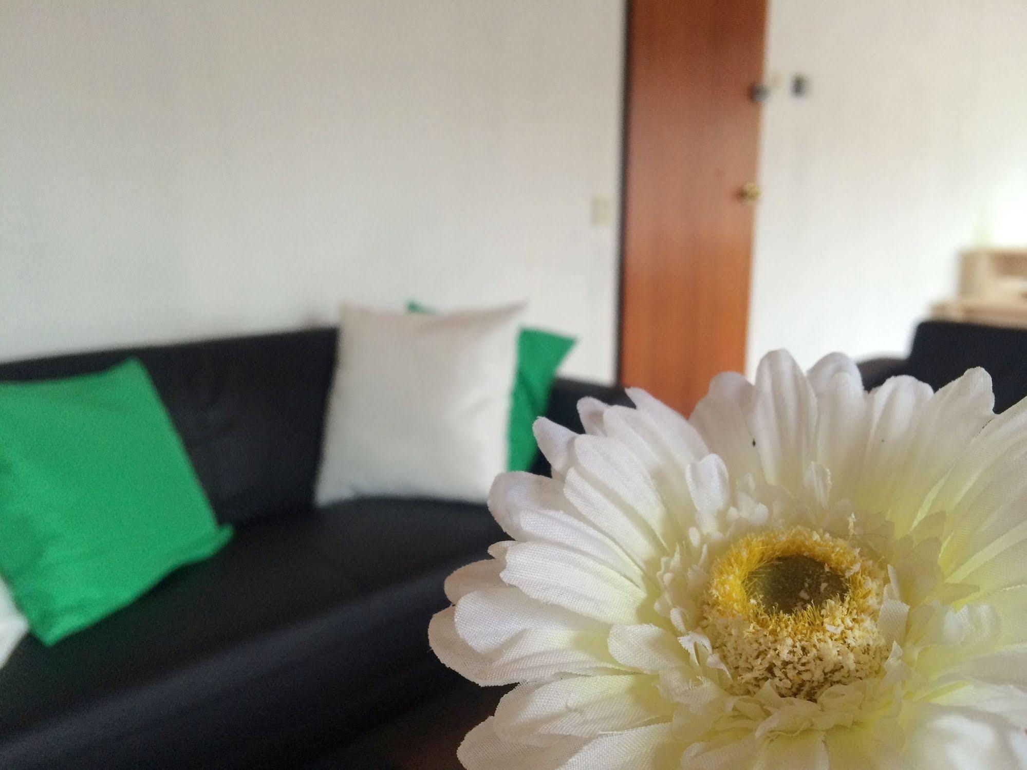 The Budget Hotel Hazerswoude-Rijndijk Dış mekan fotoğraf